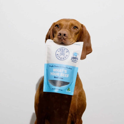 Dog holding a bag of "What's Your Beef?" beef liver treats.