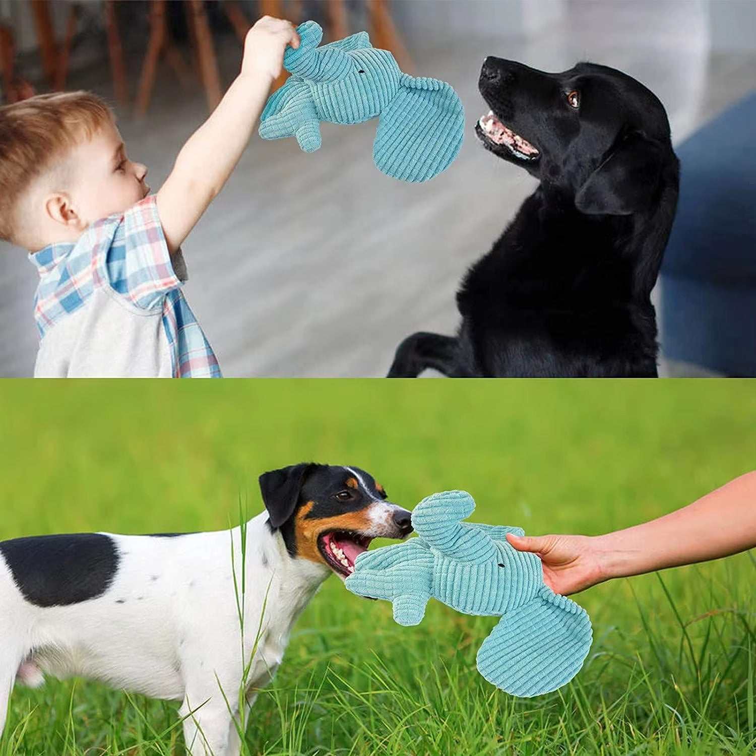 Set of cute Crinkle & Squeak Dog Toys including Connie Cow, Elliot Elephant, and Lenny Lion in soft, textured fabric