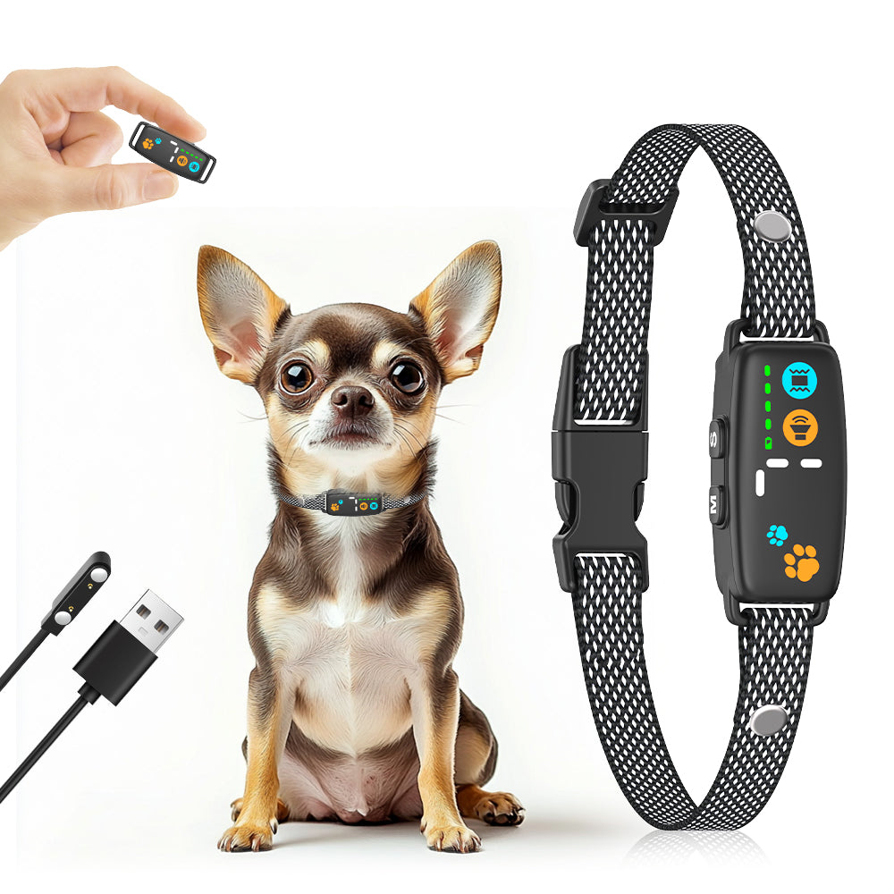 Tiny anti-barking beep and vibrate no-shock small dog barking collar designed for tiny to small dogs