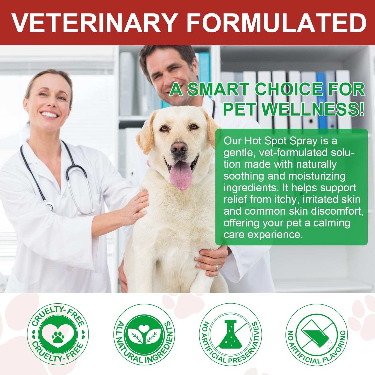 Oimmal Hot Spot Relief Spray for Dogs with Aloe Vera and Quantum Silver vet-formulated soothing skin care product