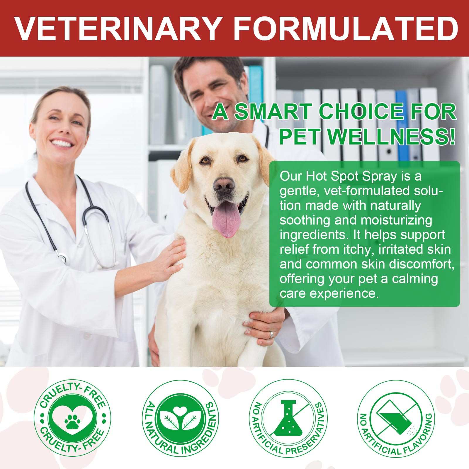 Oimmal Hot Spot Relief Spray for Dogs with Aloe Vera and Quantum Silver vet-formulated soothing skin care product