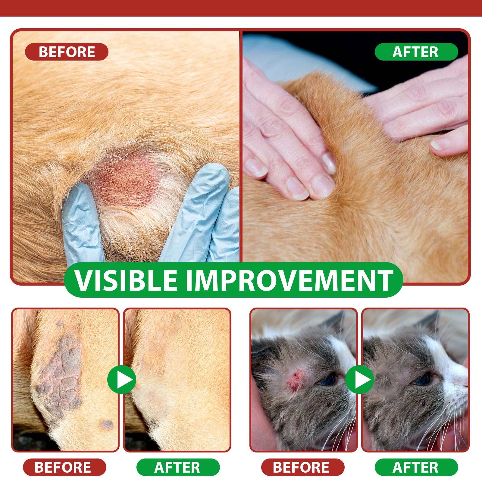 Oimmal Hot Spot Relief Spray for Cats showing before and after healing of irritated, itchy cat skin with aloe vera and quantum silver