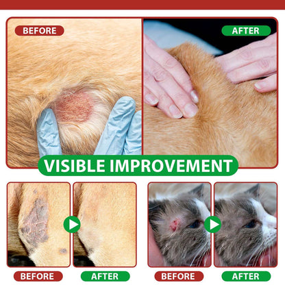 Oimmal Hot Spot Relief Spray for Cats showing before and after healing of irritated, itchy cat skin with aloe vera and quantum silver