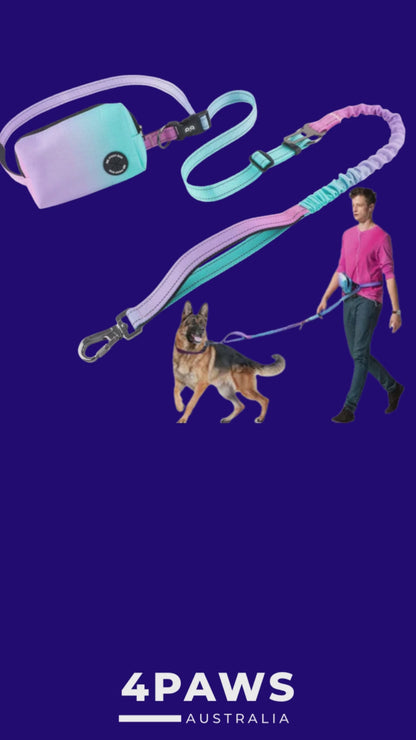 Reflective Dog Bungee Leash Bag and Poop dispenser