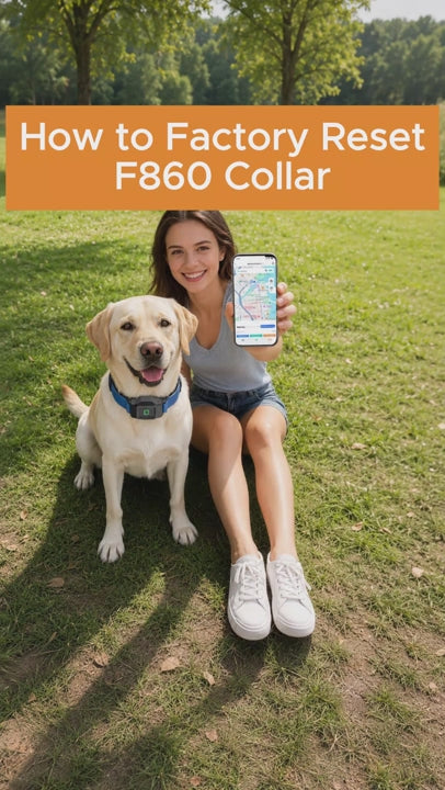 GPS Wireless Dog Fence Collar with Phone App