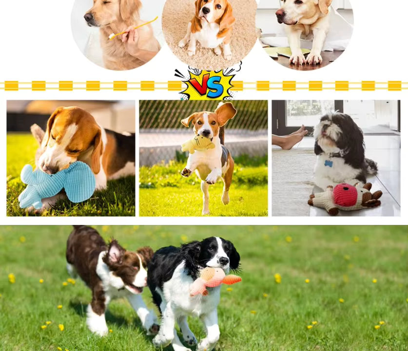 Crinkle & squeak dog toys featuring plush cow, elephant, and lion characters for small to medium dogs