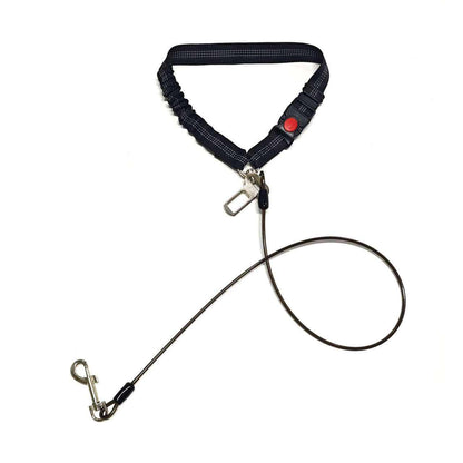 Single Chew Proof Dog Seatbelt with black woven strap, red lock button, metal clips and slim wire leash