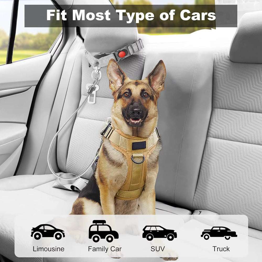 Single Chew Proof Dog Seatbelt with a gray tether, metal clips and adjustable buckle attached to a tan dog’s harness