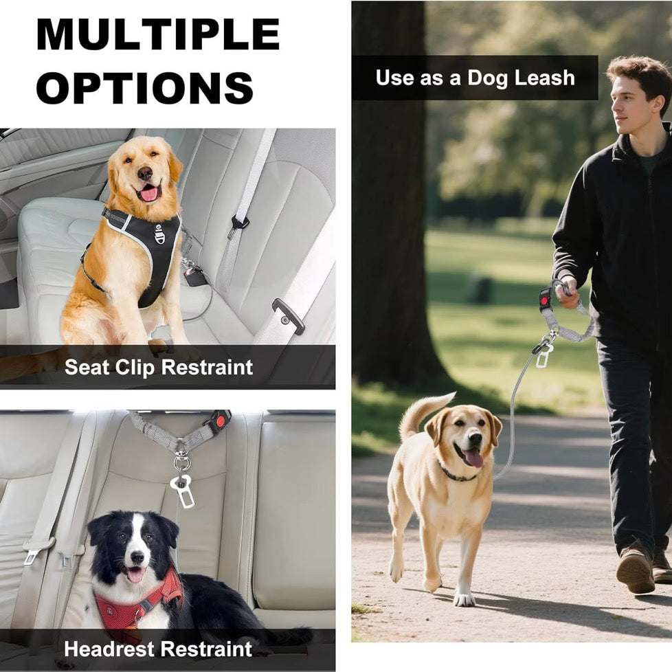 Single Chew Proof Dog Seatbelt with a gray coated wire leash, metal clips and buckle shown securing dogs in a car and used as a leash