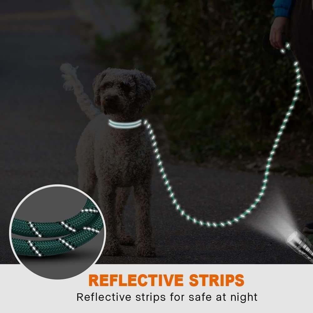 Single Rope Leash in dark green braided rope with reflective strips, shown attached to a dog’s collar