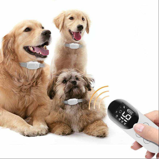 T200 Remote Training Collar with white neck receivers on three dogs and a black-and-white handheld remote