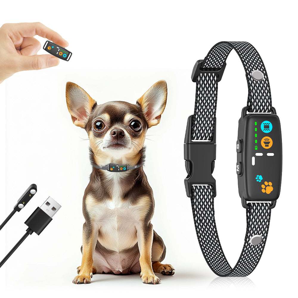 tiny dog barking collar with black patterned adjustable strap and compact beep-and-vibration unit, shown on a Chihuahua